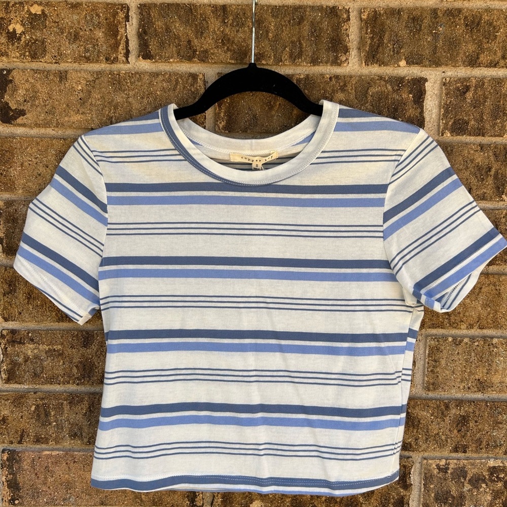 NWT Blue and White Striped Crop Top